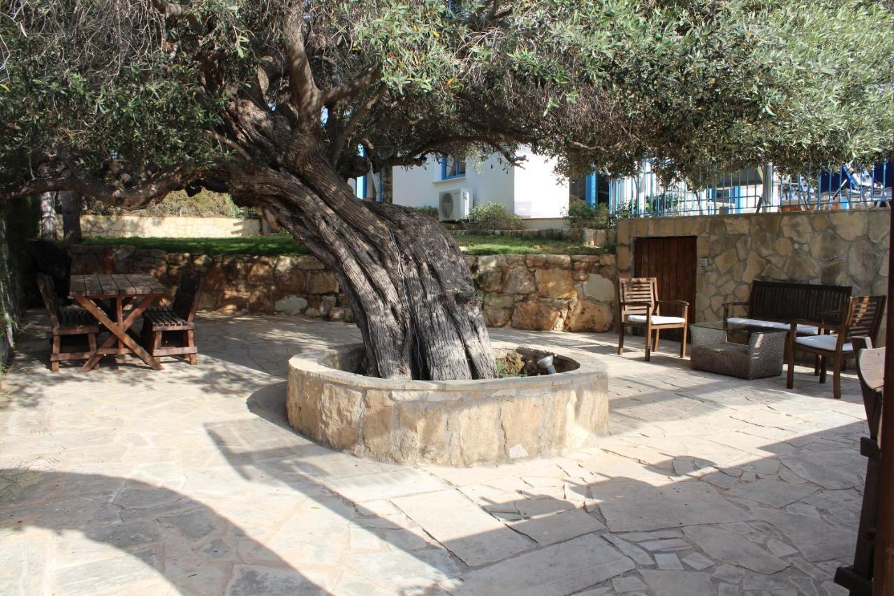 Olive Beach Villa Péja Eksteriør bilde
