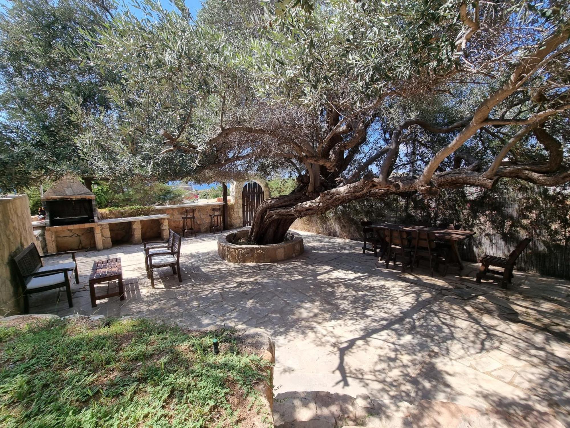 Olive Beach Villa Péja Eksteriør bilde
